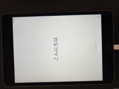 出Apple iPad mini 4 32G 深空灰