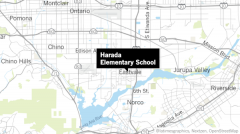 Harada小学附近传来枪声,两人被拘留讯问。