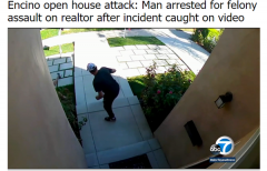 洛杉矶一房地产经纪人遭袭击并被嫌疑人摸