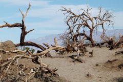 加州十年：火灾 干旱 风暴 被气候灾害吓傻的加