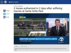 圣安妮塔公园2天内安乐死2匹马 2月内41匹马死