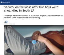 凶案再现！洛杉矶两男孩车内被枪杀 警方呼吁民