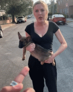 洛杉矶一女子与一名男子吵架 将狗猛扔向对方