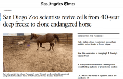 圣地亚哥动物园成功用40年前的冷冻细胞克隆出濒