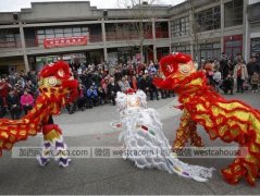 华人移民说出真相 加拿大不如中国