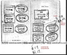 华裔移民造假 上百人丢身份被遣返