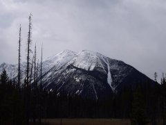 新鲜出炉的rocky mountain自驾游-kootenay national park