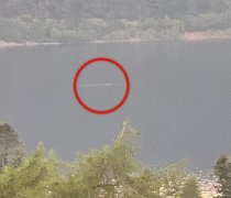 尼斯湖水怪今年第12次被拍到，网友吐槽：拍水怪