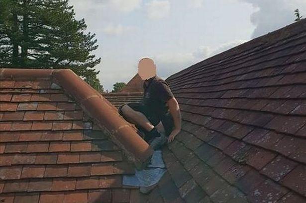 英国男子花高价雇专业修理工整修屋顶，完工一看屋顶竟全是粪便…