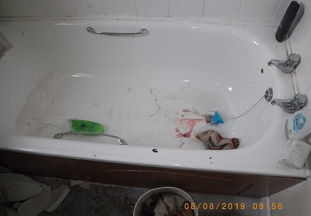 英国狗主人施虐，暴打斗牛犬满头鲜血，浸泡在装满清洁剂的浴缸中