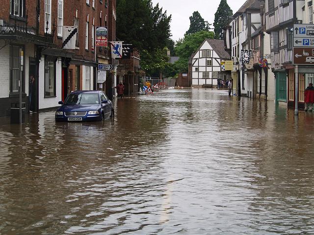 洪水肆虐英国，数百万老鼠从下水道侵入民宅，有的比猫大还不怕人