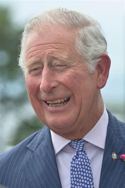 查尔斯王子近期与一国元首对面而坐，二人相隔6天确诊新冠肺炎