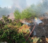 英民众在疫情期上山烧烤引起火灾逃跑，60名消防