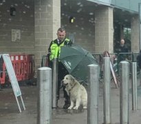 英国保安大哥大雨中为狗狗撑伞，暖心瞬间打动