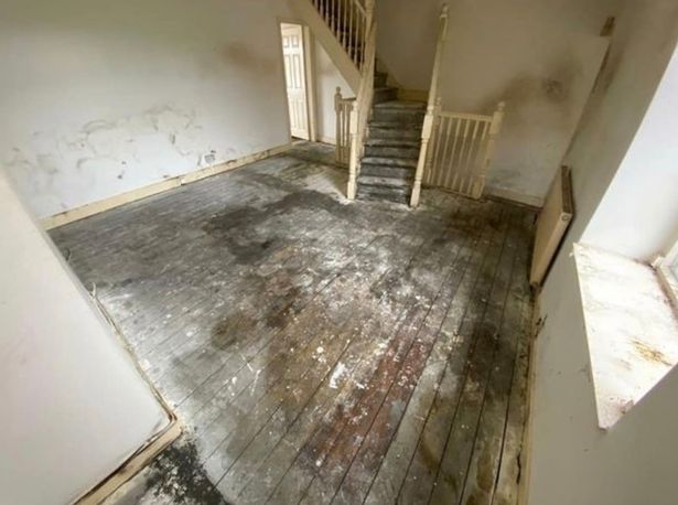 英国住宅肮脏不堪，清洁人员打开房门被吓傻：垃圾像雪崩一样涌来