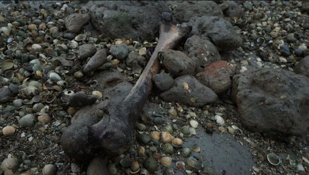 英国死人岛有约200具尸体，四散人骨从土表露出，画面瘆人