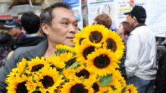 台灣來鴻：太陽花與大腸花