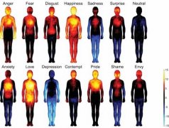 人体温度与情感