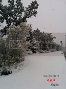 沁园春.雪