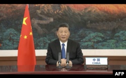 中国国家主席习近平在世界卫生大会视频开幕式上发表视频讲话。(2020年5月18日)