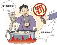 现在广东人少了很多口福了！冬天的狗肉煲没法