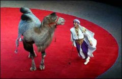 组图：俄罗斯莫斯科国家大马戏团的训骆表演