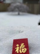 大温普降喜雪!传说的冰封也没有了