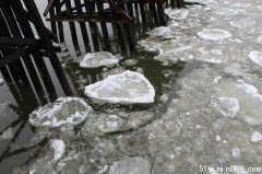 网友实拍:菲沙河上的心形浮冰(图)
