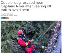 北温情侣两度遭遇熊 被困陡峭岩石