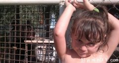 俄三岁女孩在熊笼前拍照 不幸被熊咬掉一只手
