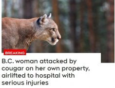 大溫驚現美洲獅襲擊人 女子受重傷