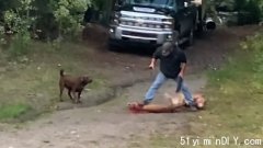 加拿大男子为保护爱犬砍死美洲狮