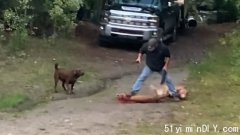 加拿大男子为保护爱犬砍死美洲狮