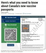 加拿大推出新疫苗護照 這些要了解