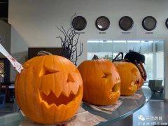 Hello Halloween  | 上约克学校万圣节专场