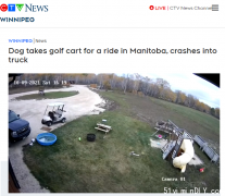加拿大一户人家后院发生诡异车祸！查看监控后