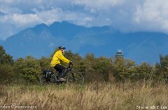 列治文Terra Nova公園 望斷南飛雁