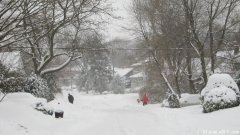 安省将迎来暴风雪！ 道路可能封闭