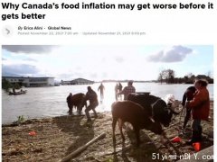 食品价格还要涨 加拿大人今冬难熬