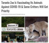 一个都不能少!加动物园也要打疫苗