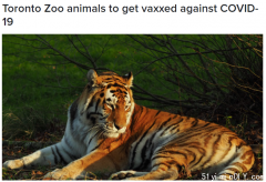家养宠物需要打疫苗？多伦多动物园将给动物接