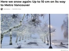 環境部連發警告:10cm降雪已發貨