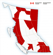 环境部:BC部分地区将有大雪和极寒