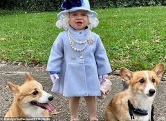 小女孩在万圣节扮成mini英国女王，真的收到了女