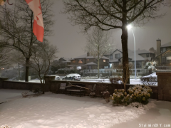 警告!大温又被埋暴雪封门关闭停课