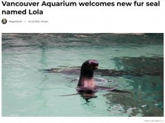 温哥华水族馆来＂新人＂了 欢迎围观