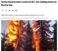 大冬天,誰在BC偏遠郊區放火燒樹?