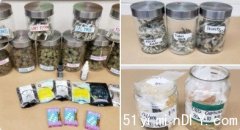 大溫商店偷賣毒品 UBC搶劫稱觀光