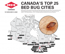 溫哥華+本拿比是臭蟲最多城市之一