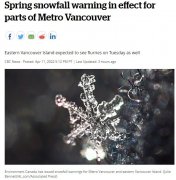 环境部:大温部分地区降雪警告生效